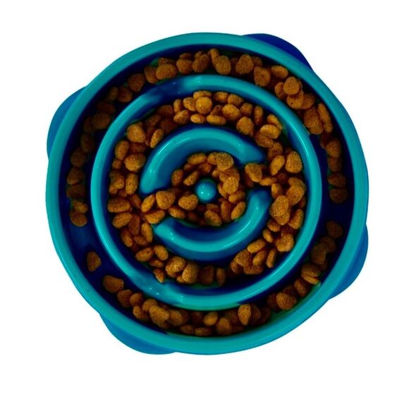 Outward Hound Non-Skid Plastic Slow Feeder Interactive Dog Bowl - Picture 2 of 4